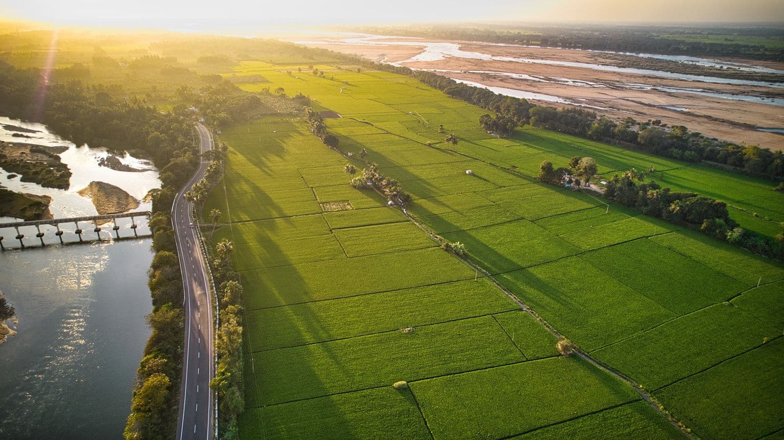 Farmland vs Residential Plot in Chennai: Which Should You Actually Buy?